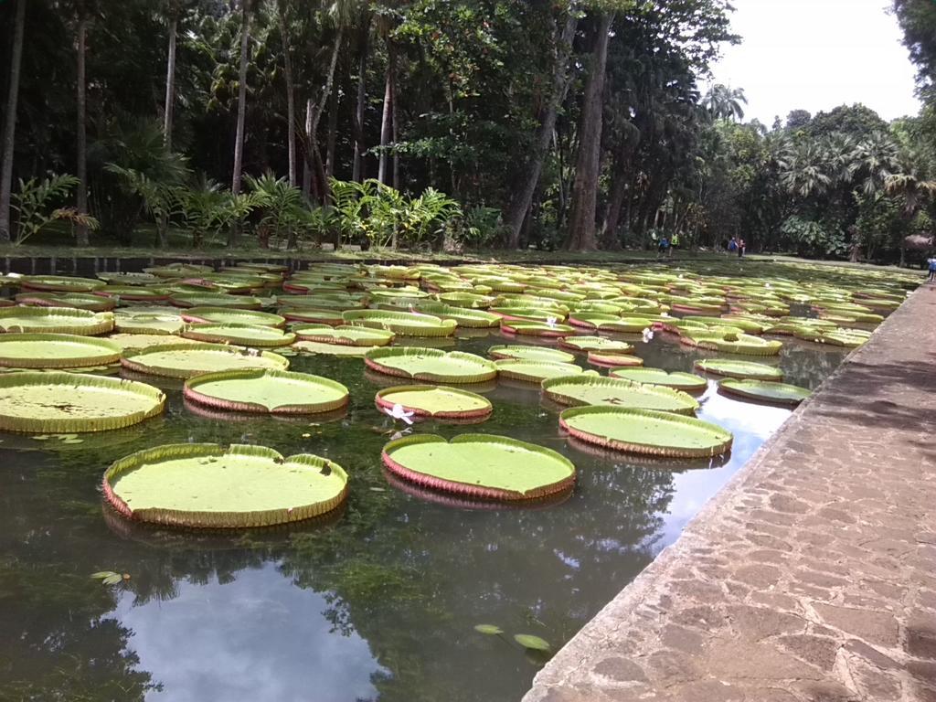 Auberge Etiennette Trou d'Eau Douce Buitenkant foto